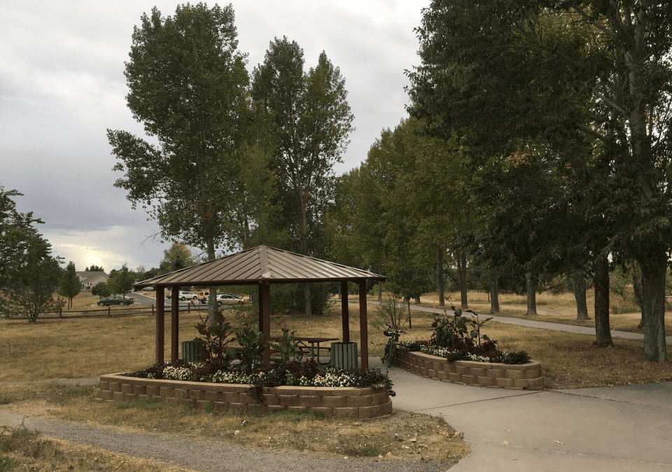 McCabe Meadows